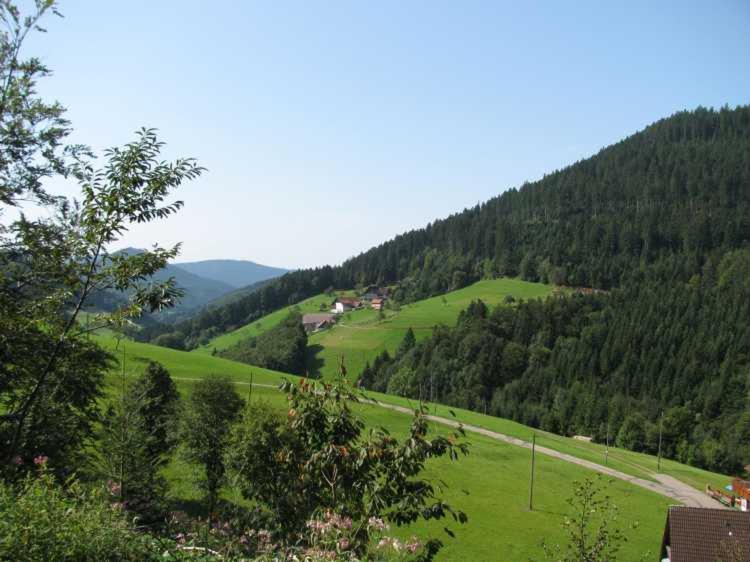 Gaestehaus Gerda Bad Peterstal-Griesbach Luaran gambar