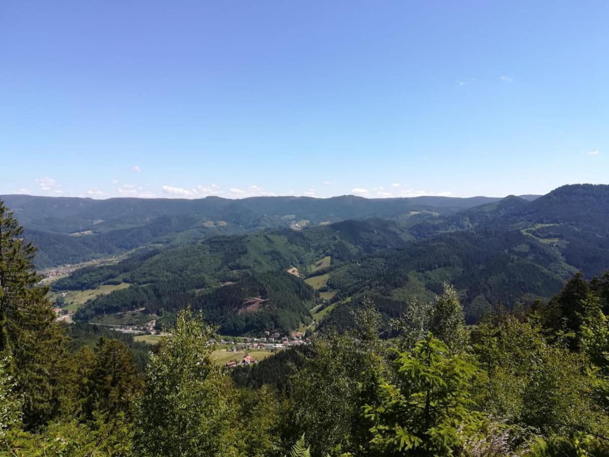 Gaestehaus Gerda Bad Peterstal-Griesbach Luaran gambar