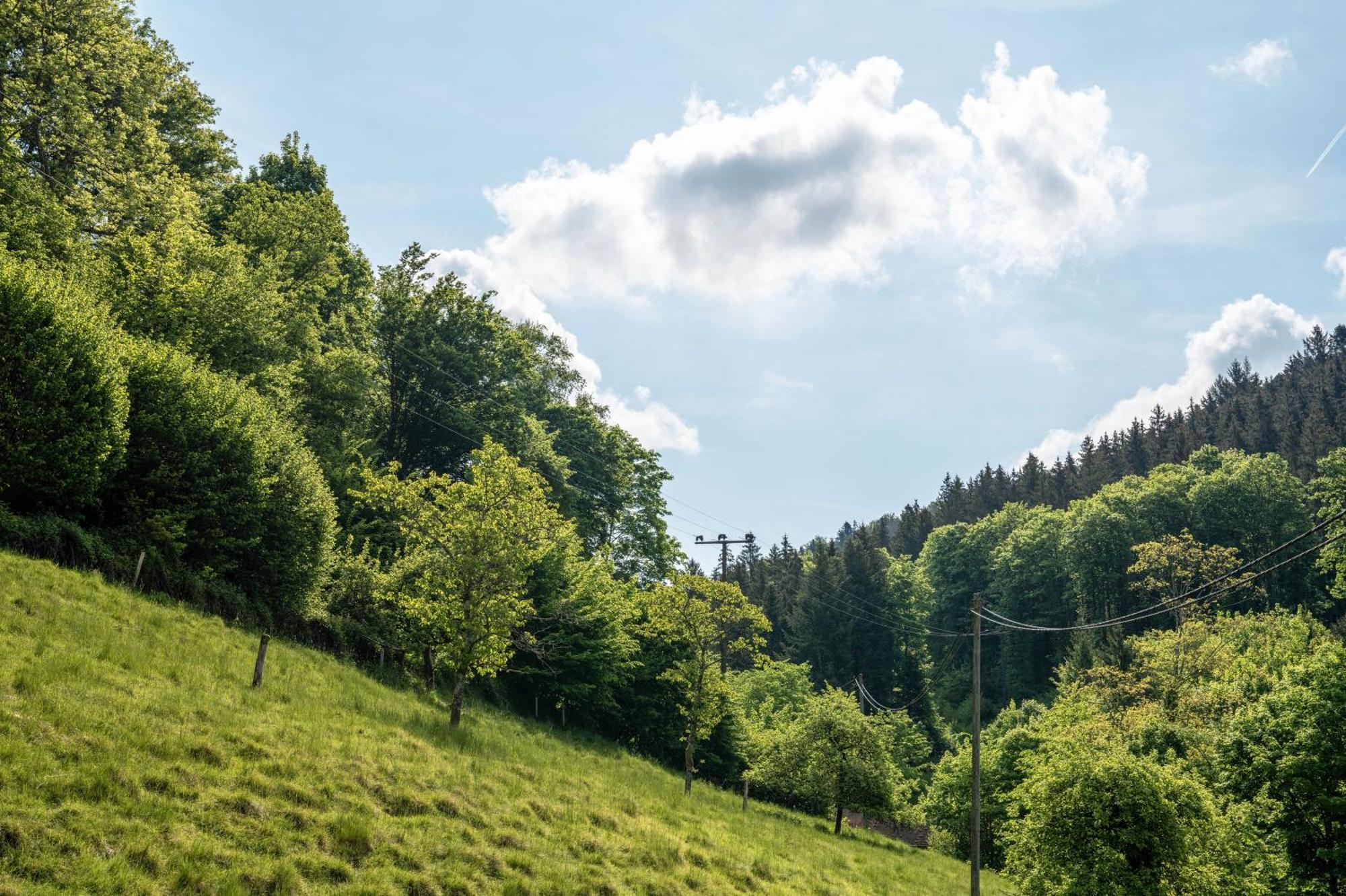 Gaestehaus Gerda Bad Peterstal-Griesbach Luaran gambar